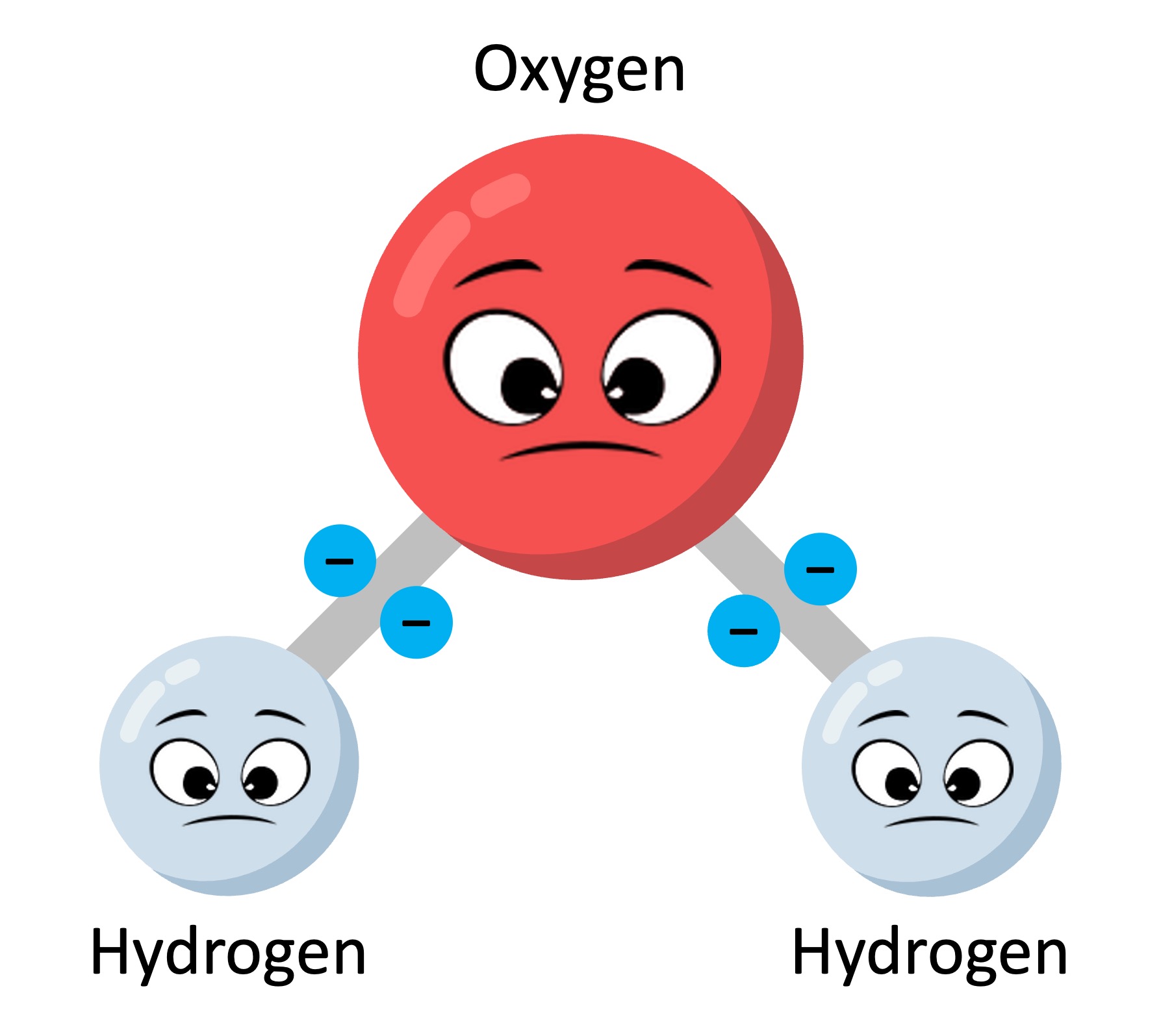 Water Structure